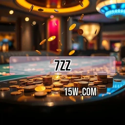 7zz.com Segurança